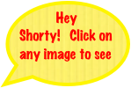 Hey Shorty!   Click on any image to see more photos!