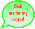 Click me for my  photos!